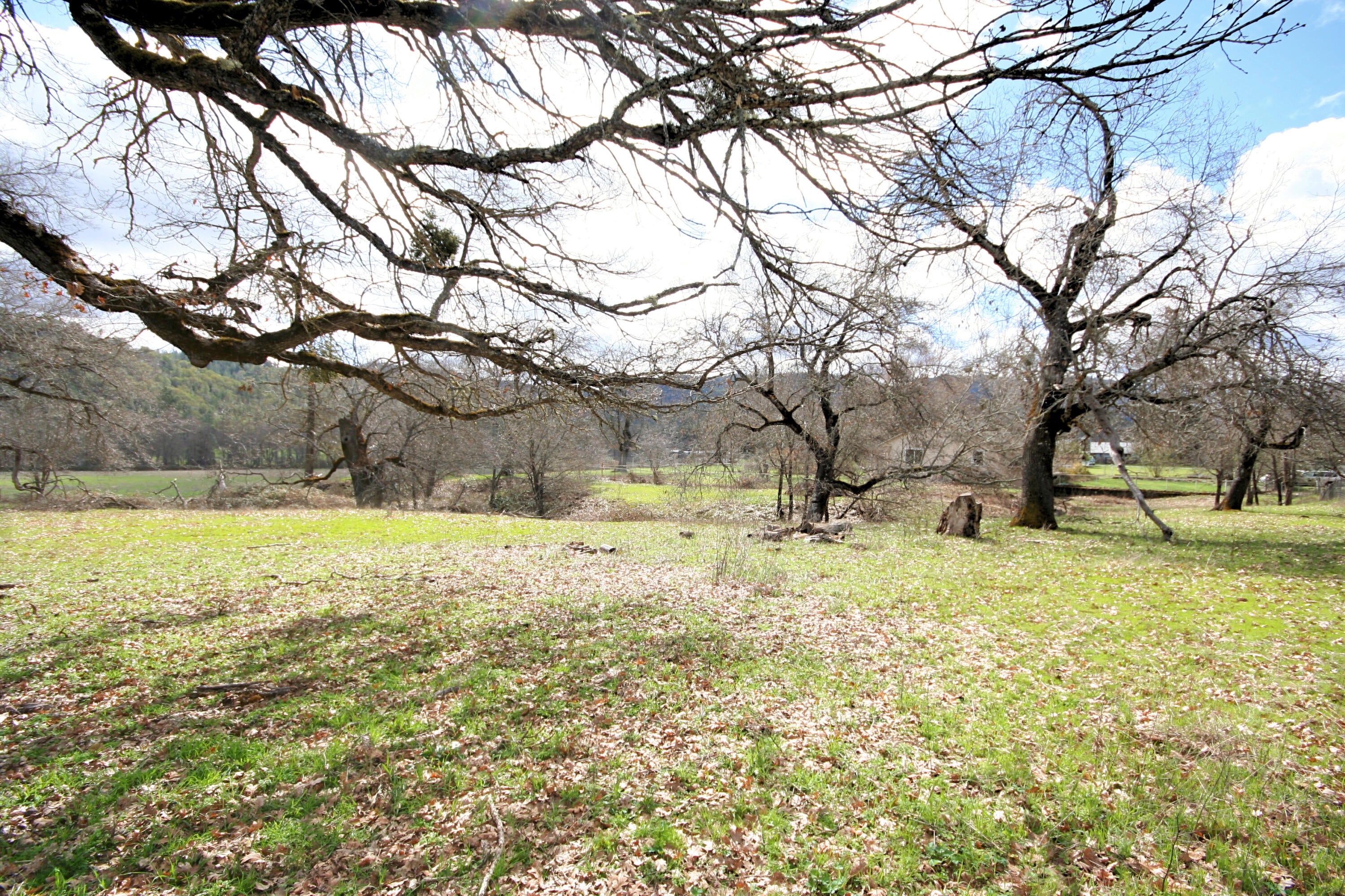 734 Powell Creek Road Williams, OR 97544 - Photo 49 of 51 fotor_2023-4-12_17_42_17
