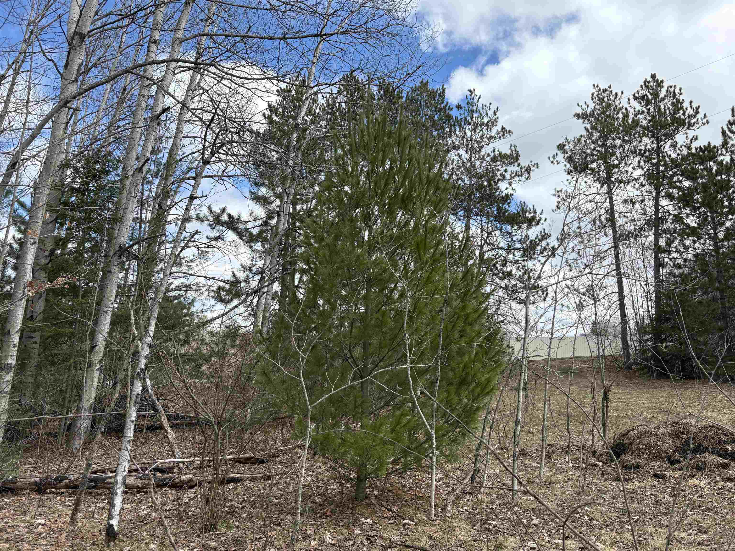 2450 North Marshall Road Beulah, MI 49617 - Photo 5 of 21