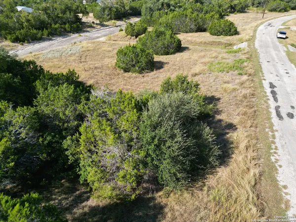 a view of a yard with plants