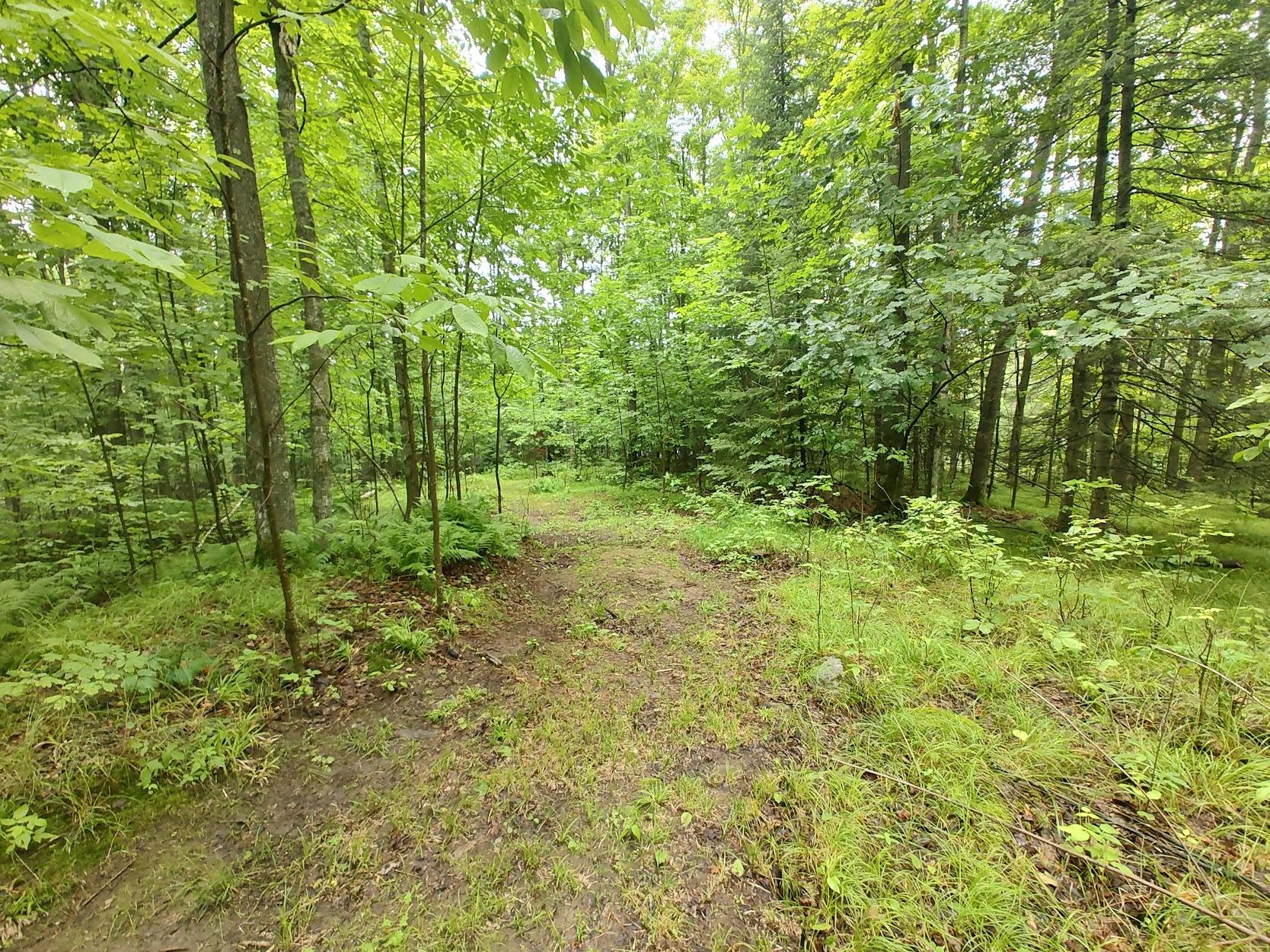 5935 Birch Road Crandon, WI 54520 - Photo 34 of 34 Gallery Image 34