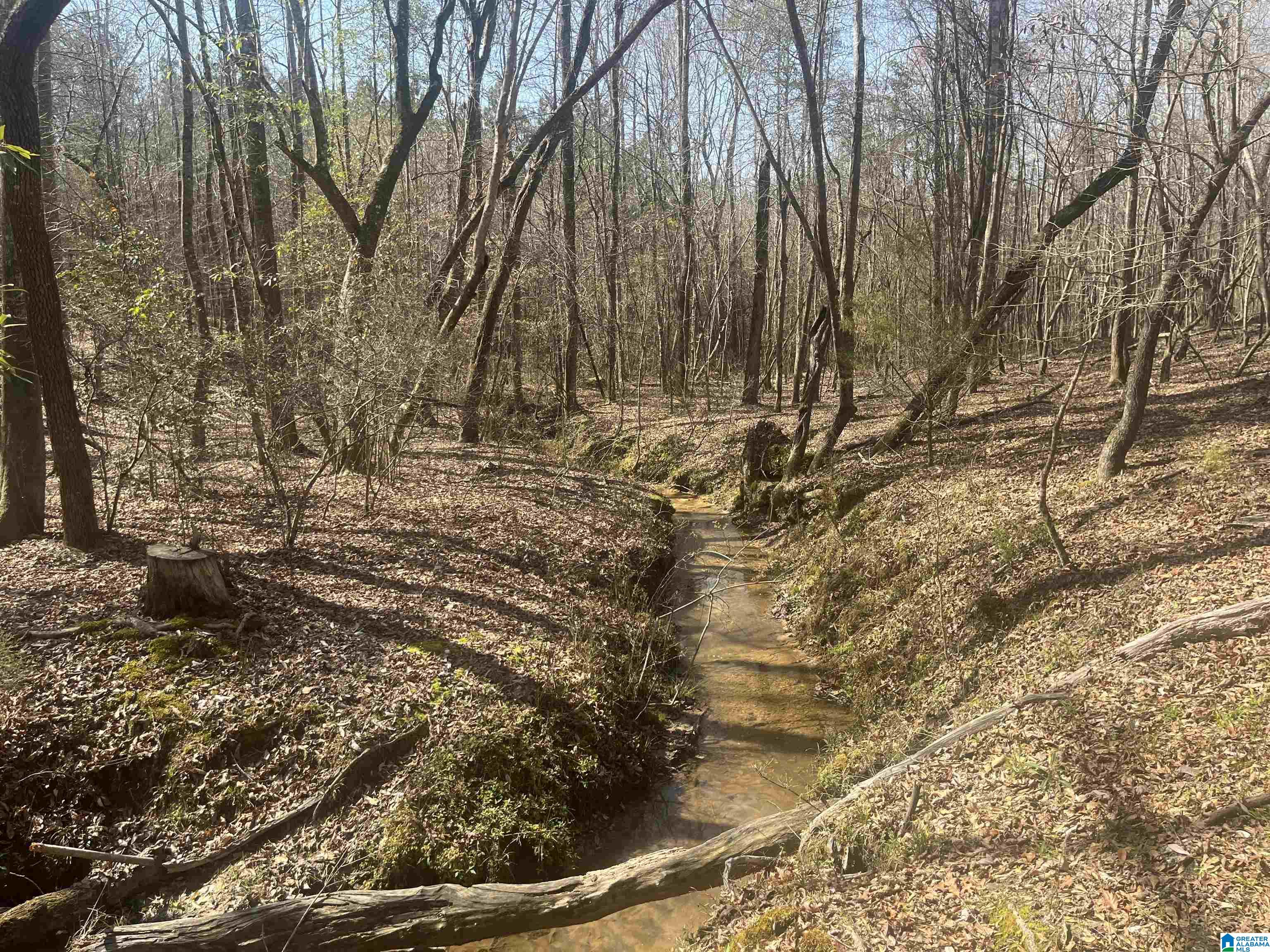0 Crystal Lake Road West Blocton, AL 35184 - Photo 10 of 16