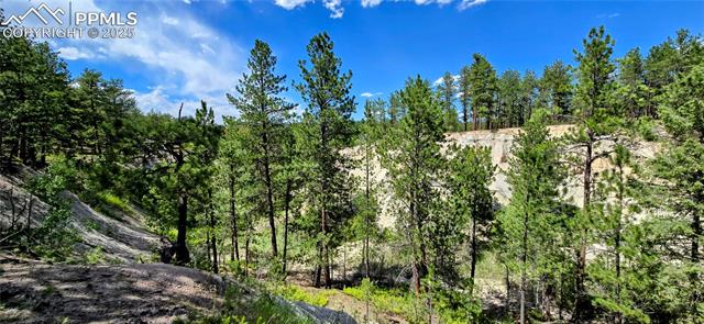 11785 Milam Road Colorado Springs, CO 80908 - Photo 14 of 44 View of wooded area