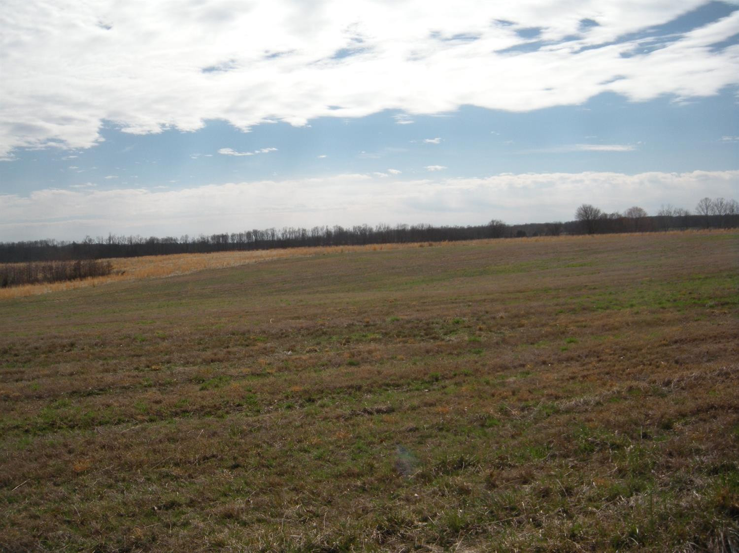 111111 Adams Road Owingsville, KY 40360 - Photo 2 of 5 Photo 2