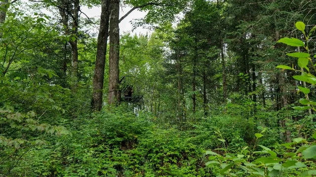 $275,000 | 160-ac 160-ac Cedar, Merrill, WI 54452