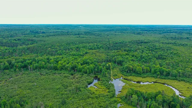 $275,000 | 160-ac 160-ac Cedar, Merrill, WI 54452