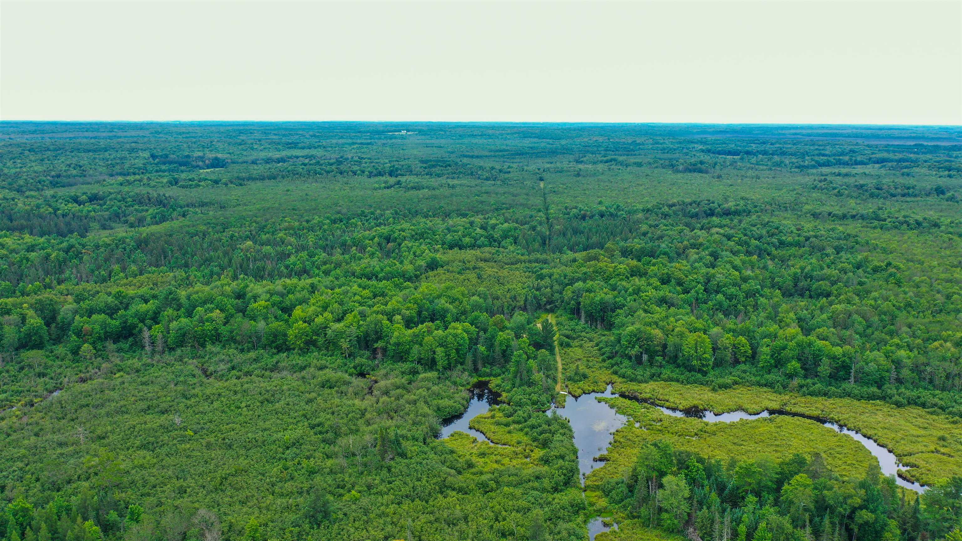 160-ac 160-ac Cedar Merrill, WI 54452 - Photo 25 of 63