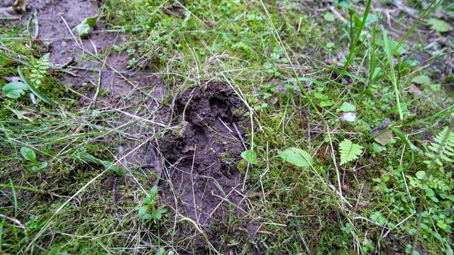 $275,000 | 160-ac 160-ac Cedar, Merrill, WI 54452