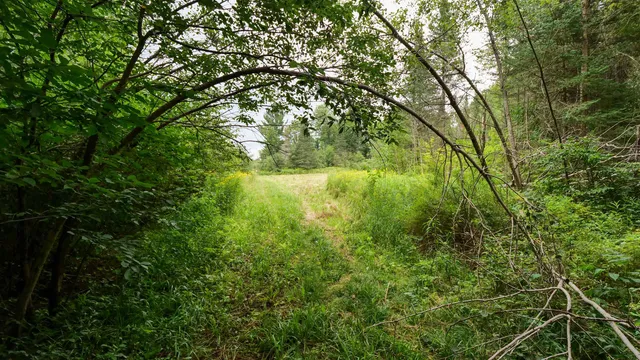 $275,000 | 160-ac 160-ac Cedar, Merrill, WI 54452