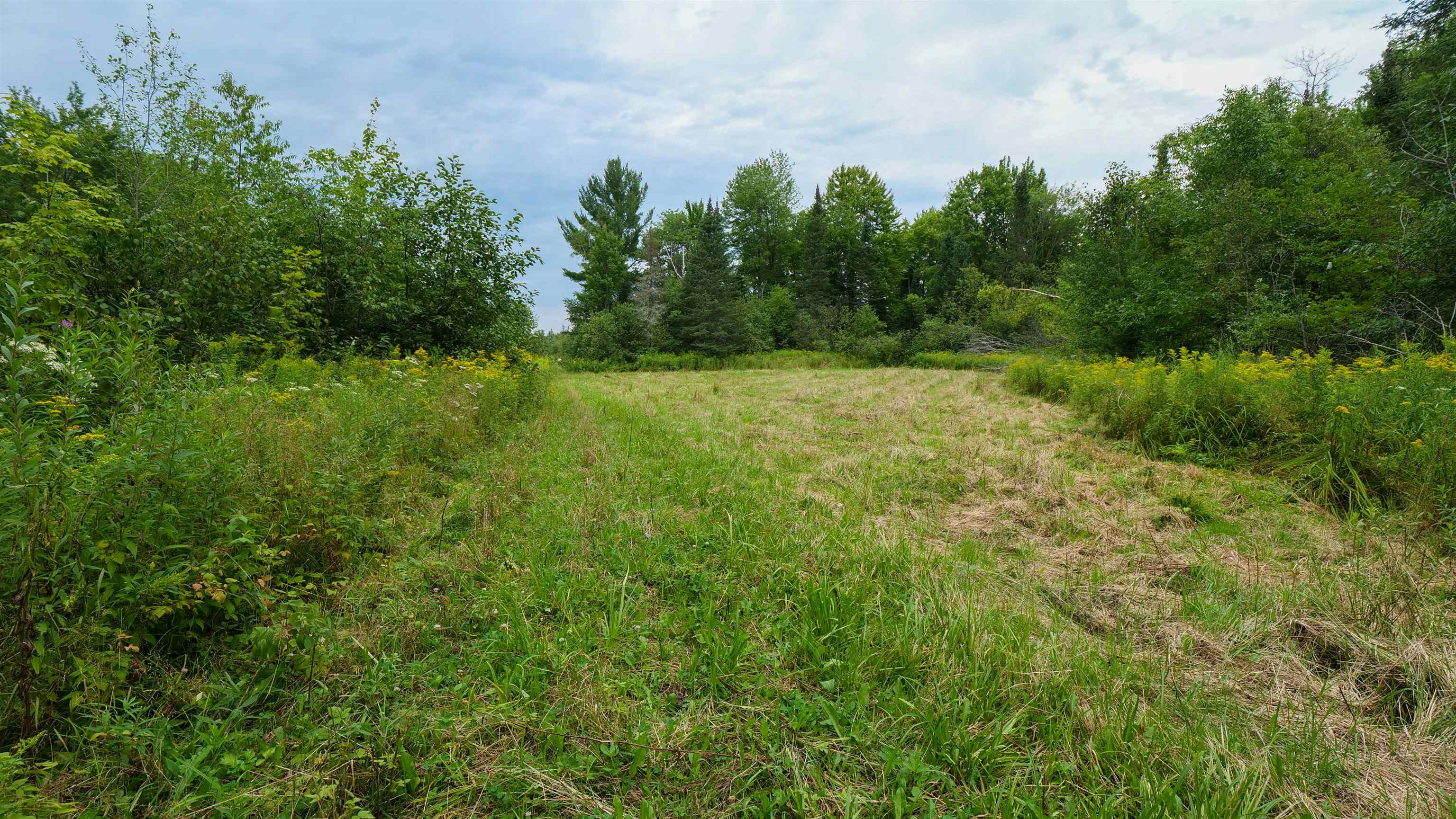 160-ac 160-ac Cedar Merrill, WI 54452 - Photo 28 of 63