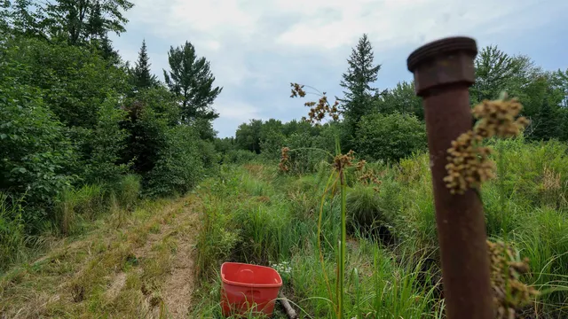 $275,000 | 160-ac 160-ac Cedar, Merrill, WI 54452