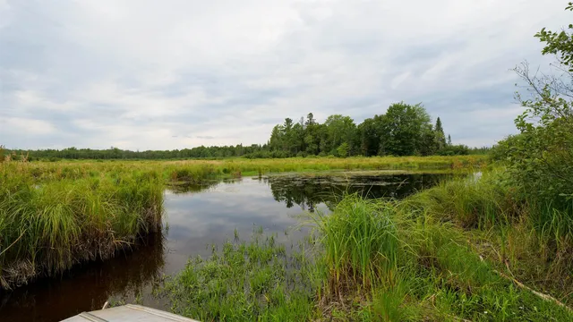 $275,000 | 160-ac 160-ac Cedar, Merrill, WI 54452