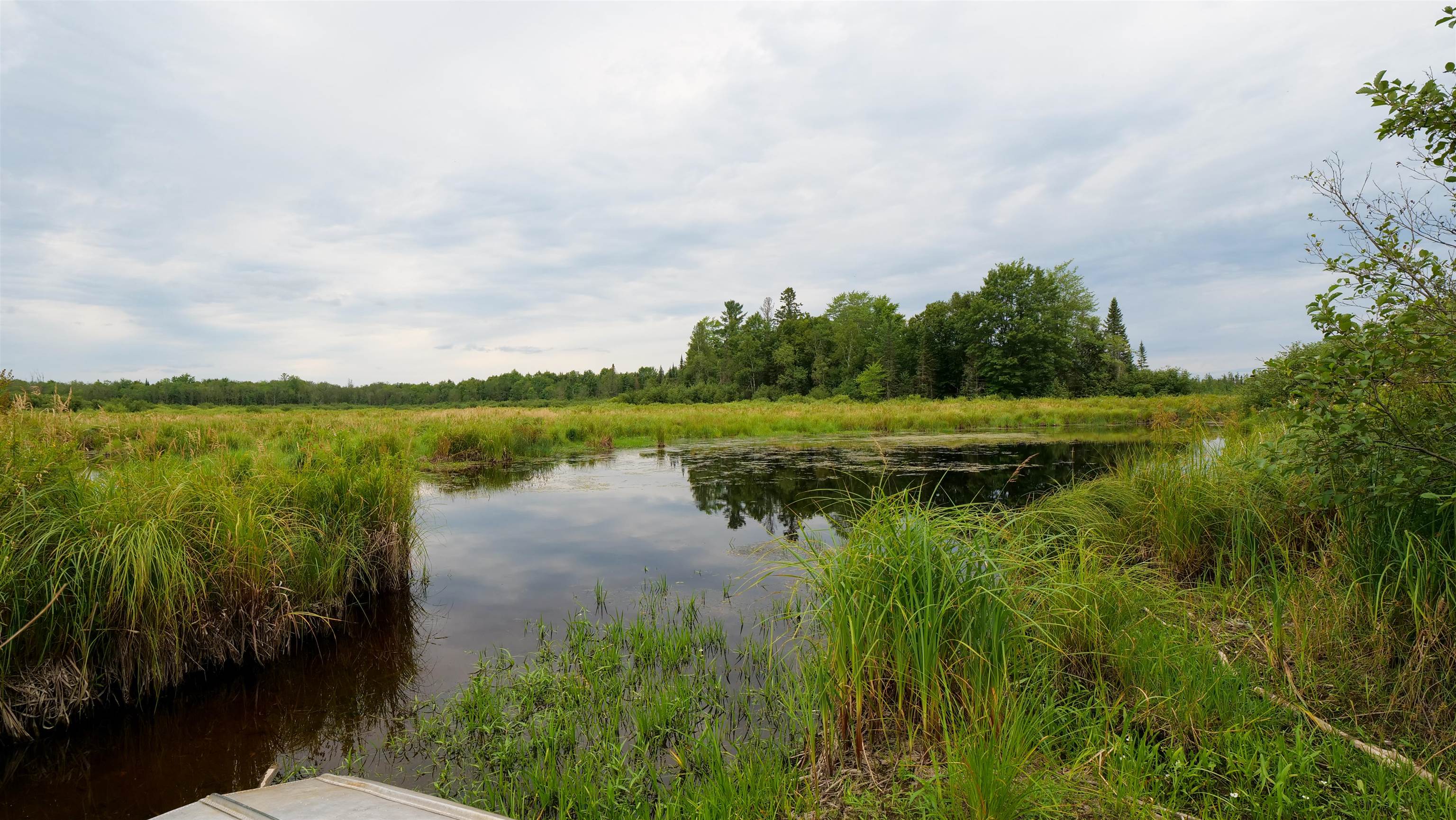 160-ac 160-ac Cedar Merrill, WI 54452 - Photo 34 of 63
