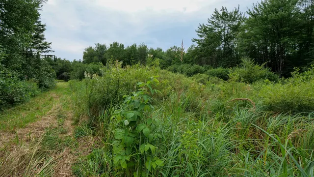 $275,000 | 160-ac 160-ac Cedar, Merrill, WI 54452