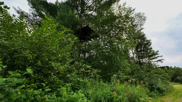 $275,000 | 160-ac 160-ac Cedar, Merrill, WI 54452