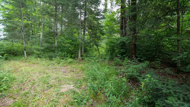 $275,000 | 160-ac 160-ac Cedar, Merrill, WI 54452