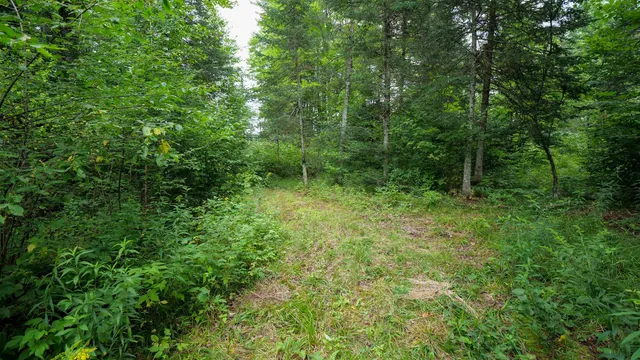 $275,000 | 160-ac 160-ac Cedar, Merrill, WI 54452