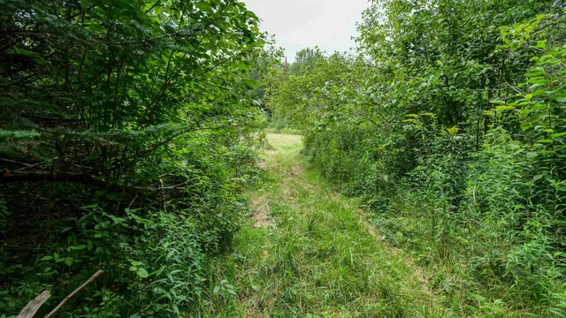 $275,000 | 160-ac 160-ac Cedar, Merrill, WI 54452