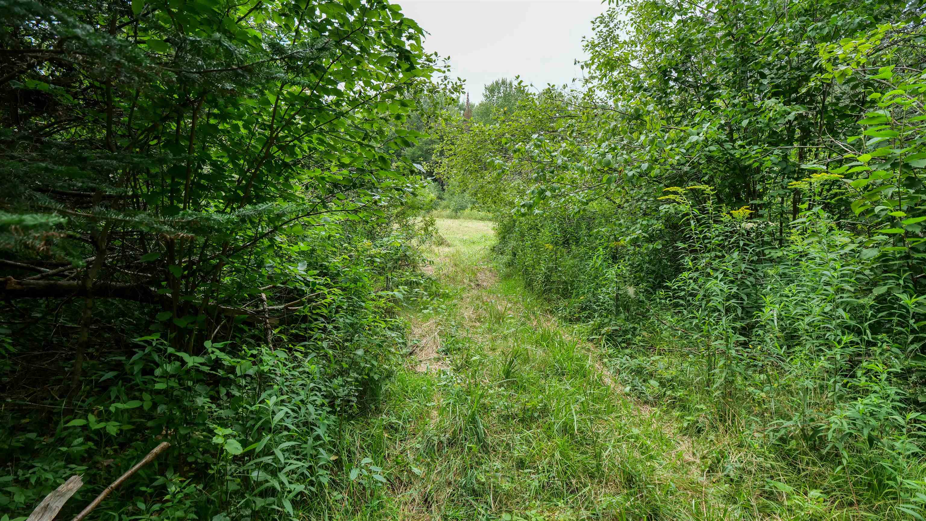 160-ac 160-ac Cedar Merrill, WI 54452 - Photo 39 of 63