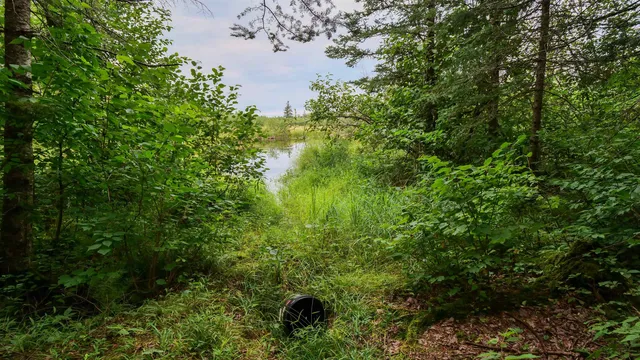 $275,000 | 160-ac 160-ac Cedar, Merrill, WI 54452