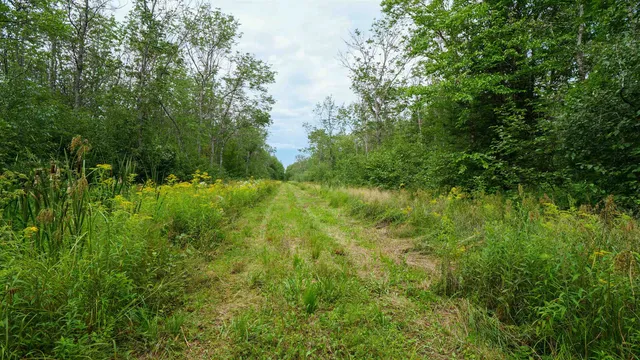 $275,000 | 160-ac 160-ac Cedar, Merrill, WI 54452