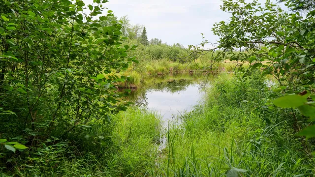 $275,000 | 160-ac 160-ac Cedar, Merrill, WI 54452