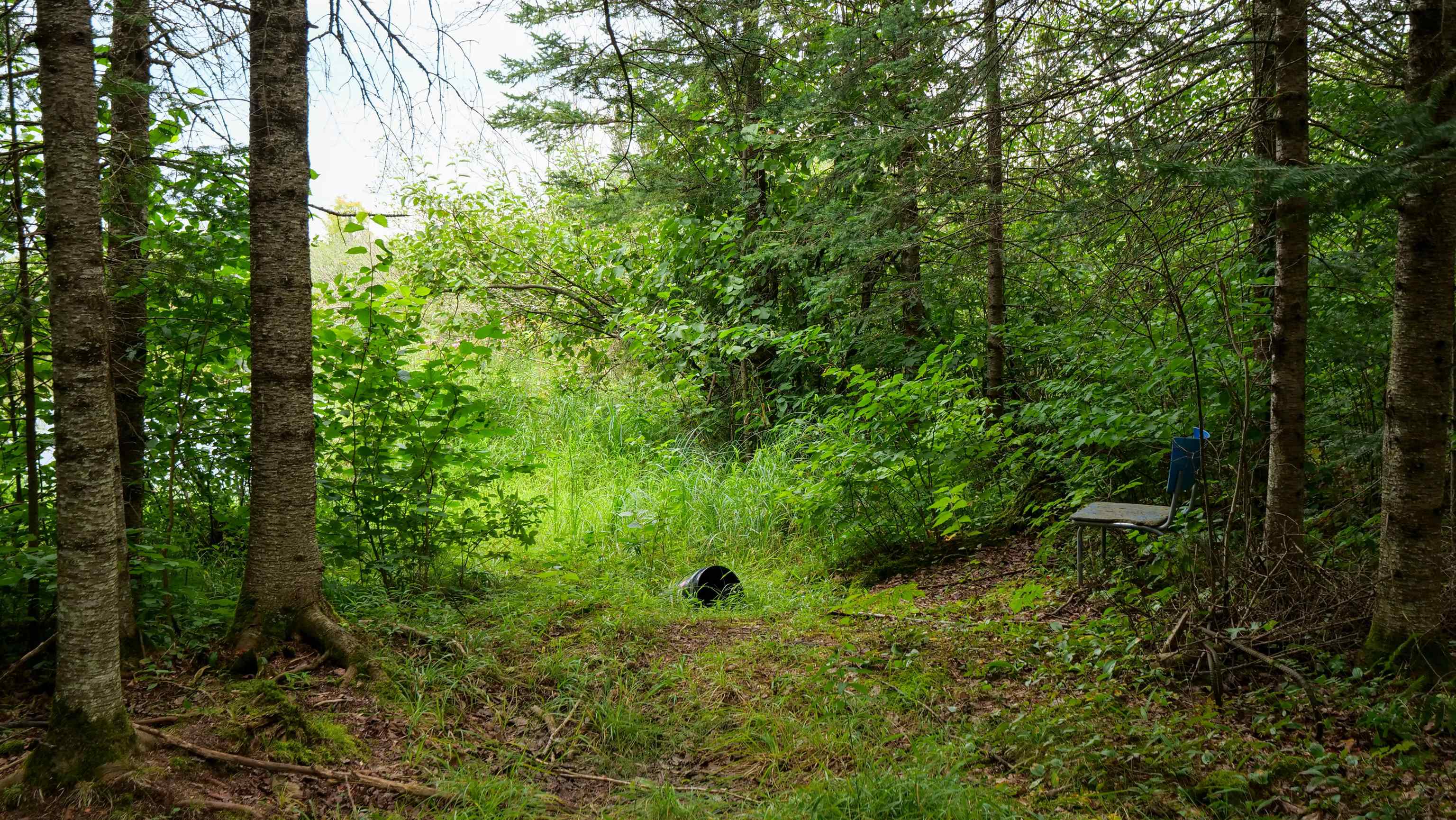 160-ac 160-ac Cedar Merrill, WI 54452 - Photo 42 of 63