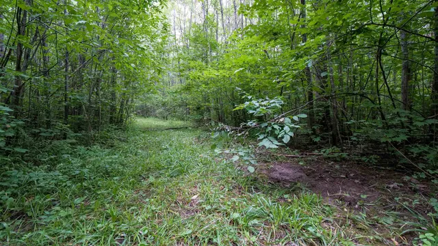 $275,000 | 160-ac 160-ac Cedar, Merrill, WI 54452