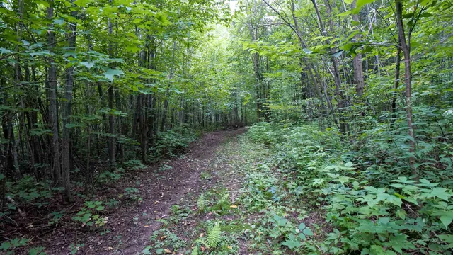 $275,000 | 160-ac 160-ac Cedar, Merrill, WI 54452