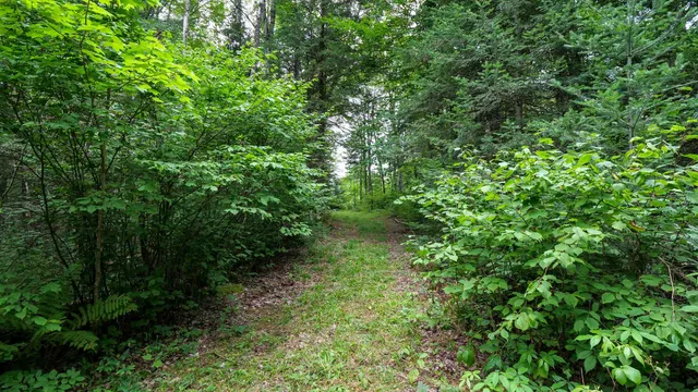 $275,000 | 160-ac 160-ac Cedar, Merrill, WI 54452