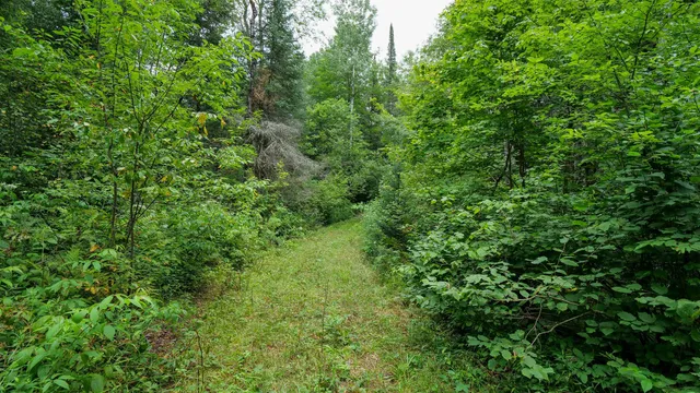 $275,000 | 160-ac 160-ac Cedar, Merrill, WI 54452