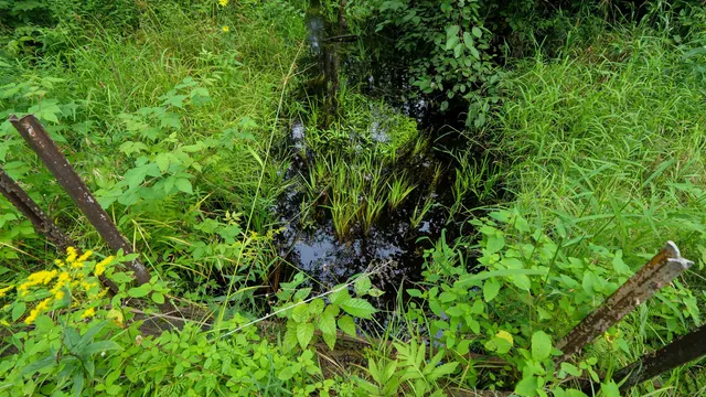 $275,000 | 160-ac 160-ac Cedar, Merrill, WI 54452