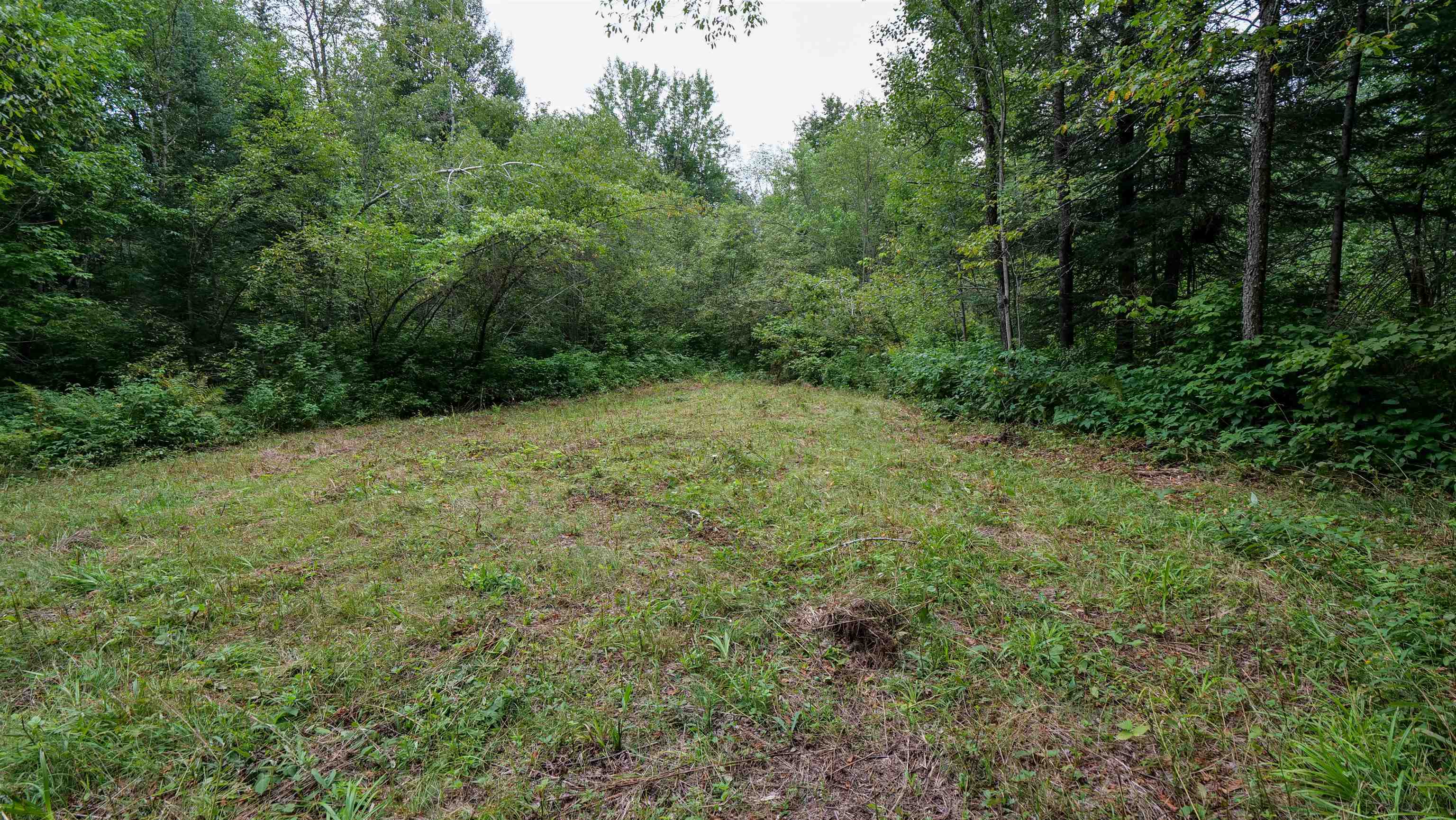 160-ac 160-ac Cedar Merrill, WI 54452 - Photo 53 of 63