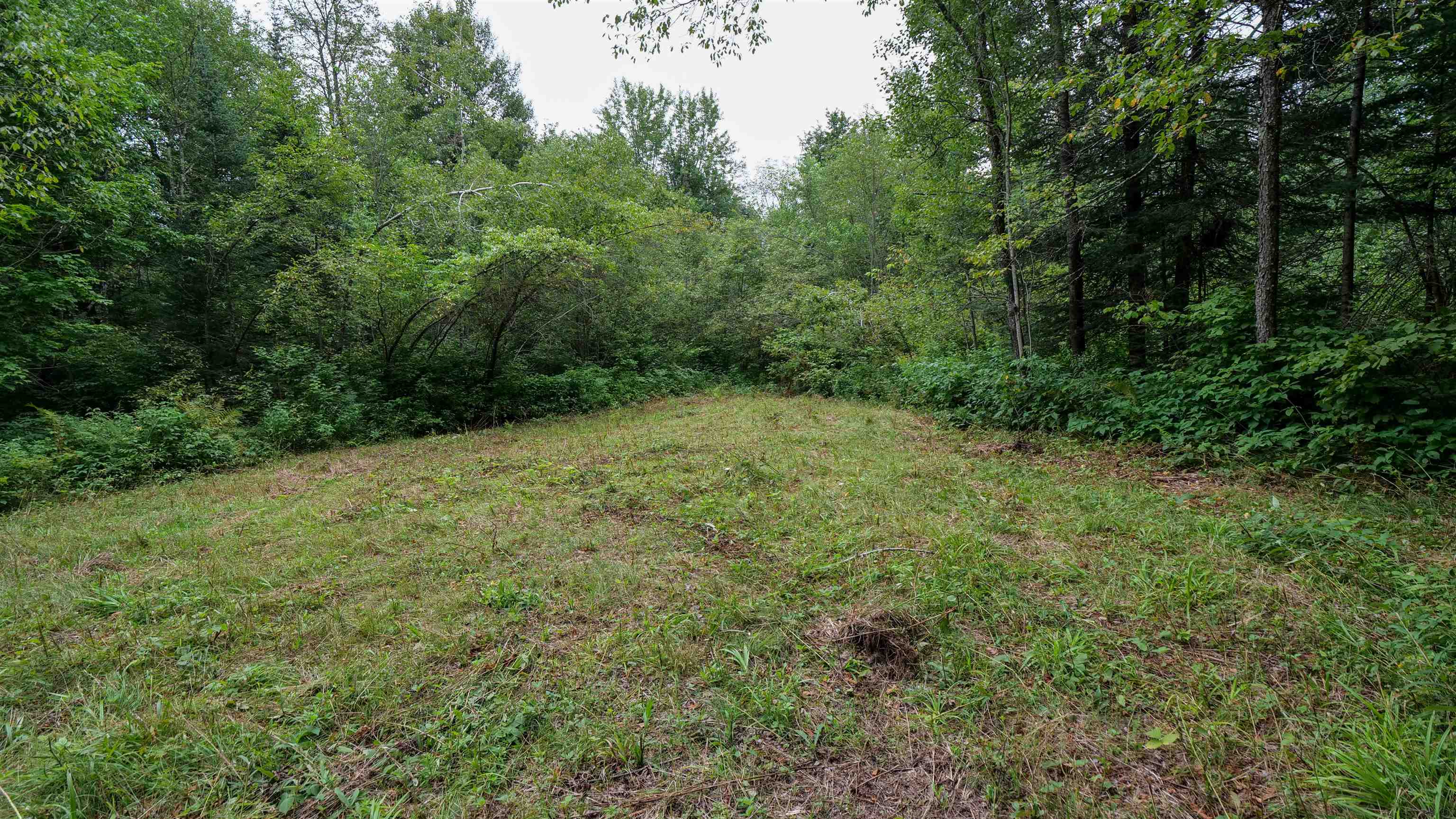 160-ac 160-ac Cedar Merrill, WI 54452 - Photo 54 of 63
