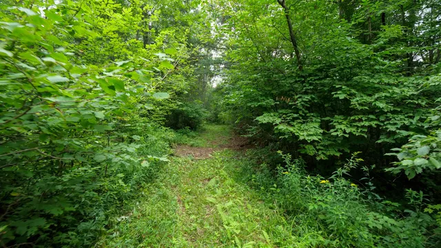 $275,000 | 160-ac 160-ac Cedar, Merrill, WI 54452