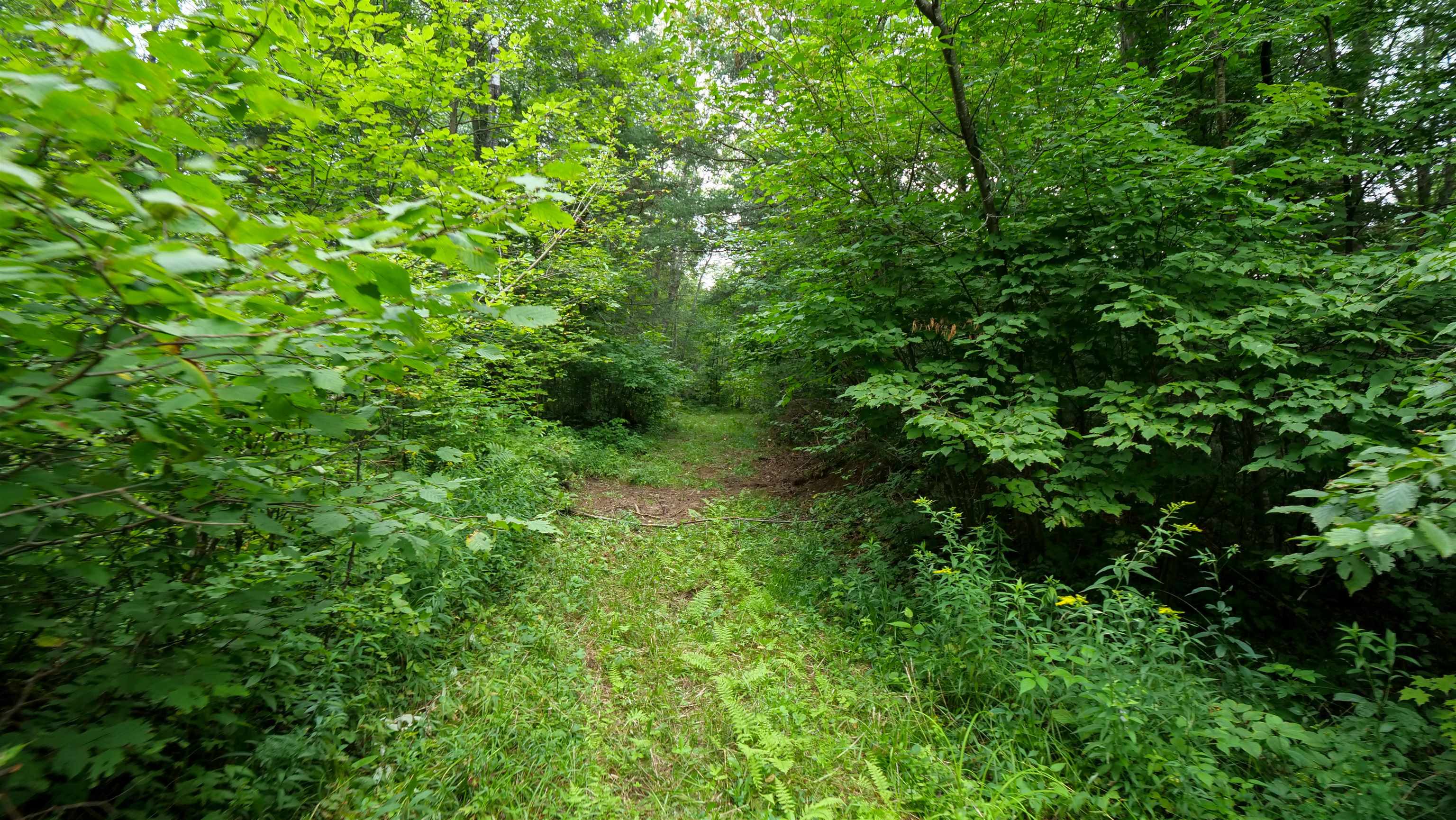 160-ac 160-ac Cedar Merrill, WI 54452 - Photo 57 of 63