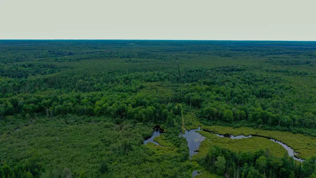 $275,000 | 160-ac 160-ac Cedar, Merrill, WI 54452