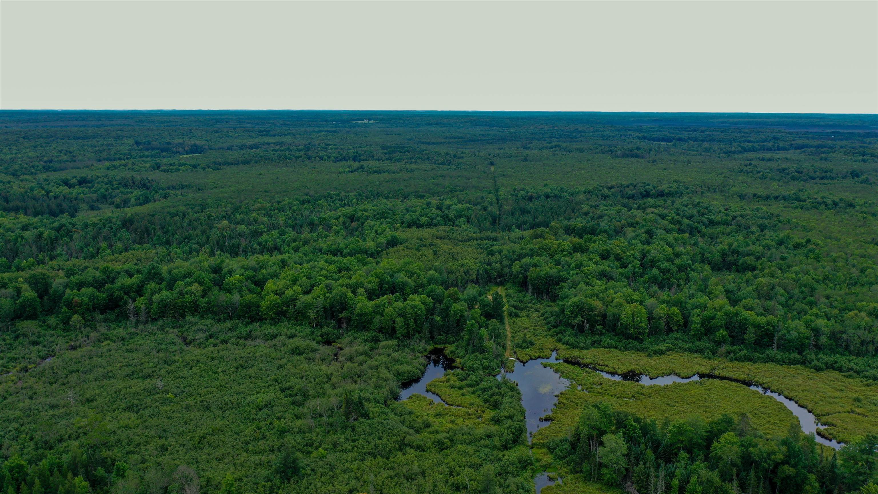 160-ac 160-ac Cedar Merrill, WI 54452 - Photo 58 of 63