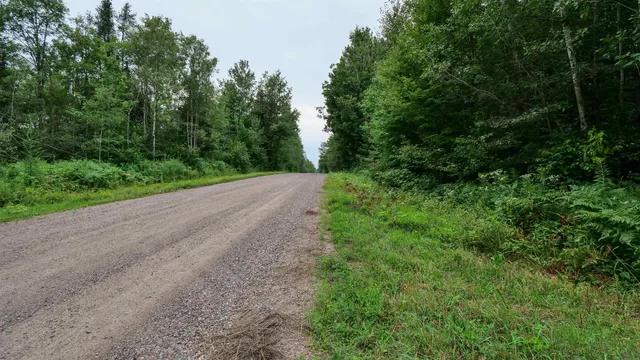 $275,000 | 160-ac 160-ac Cedar, Merrill, WI 54452