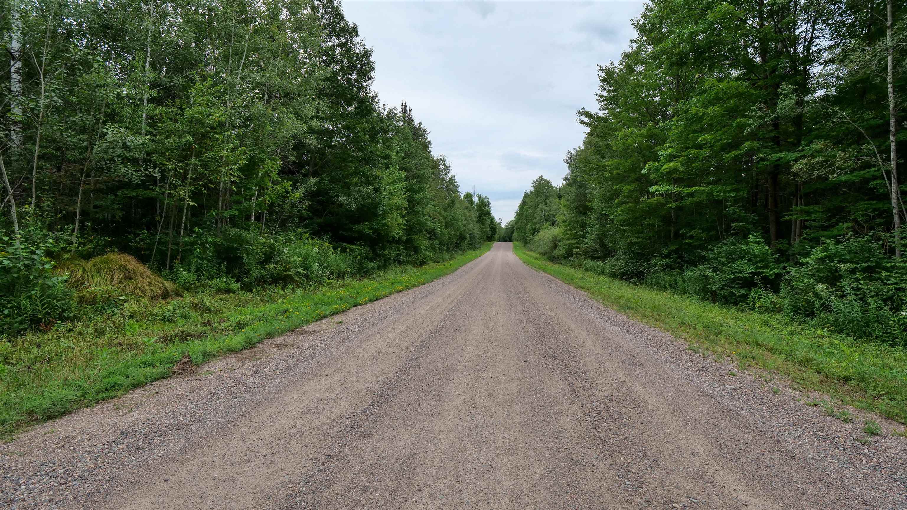 160-ac 160-ac Cedar Merrill, WI 54452 - Photo 62 of 63