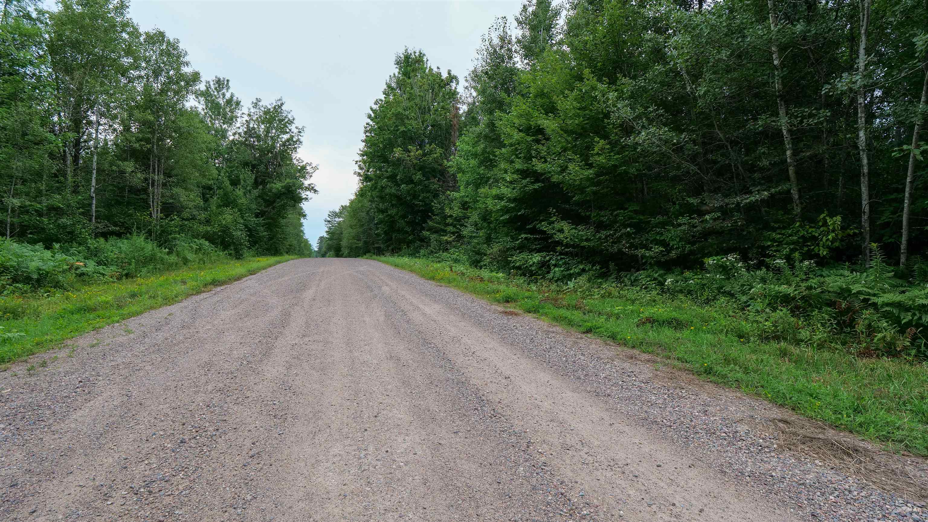 160-ac 160-ac Cedar Merrill, WI 54452 - Photo 63 of 63
