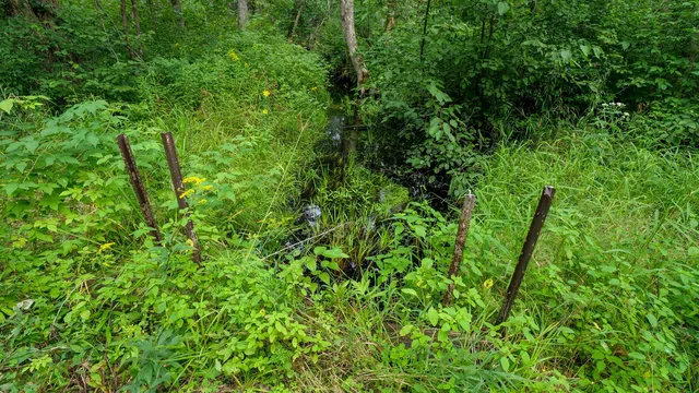 $275,000 | 160-ac 160-ac Cedar, Merrill, WI 54452