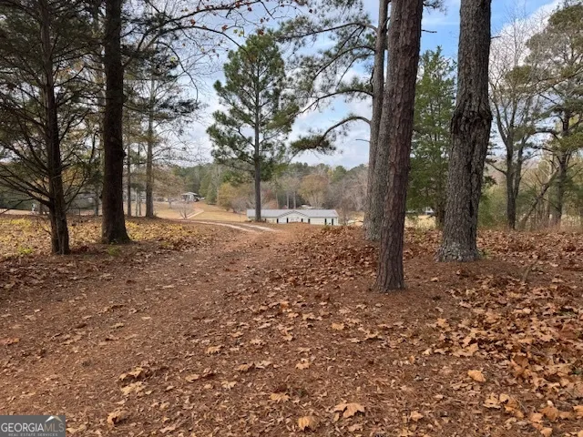 a backyard of a house with lots of green space