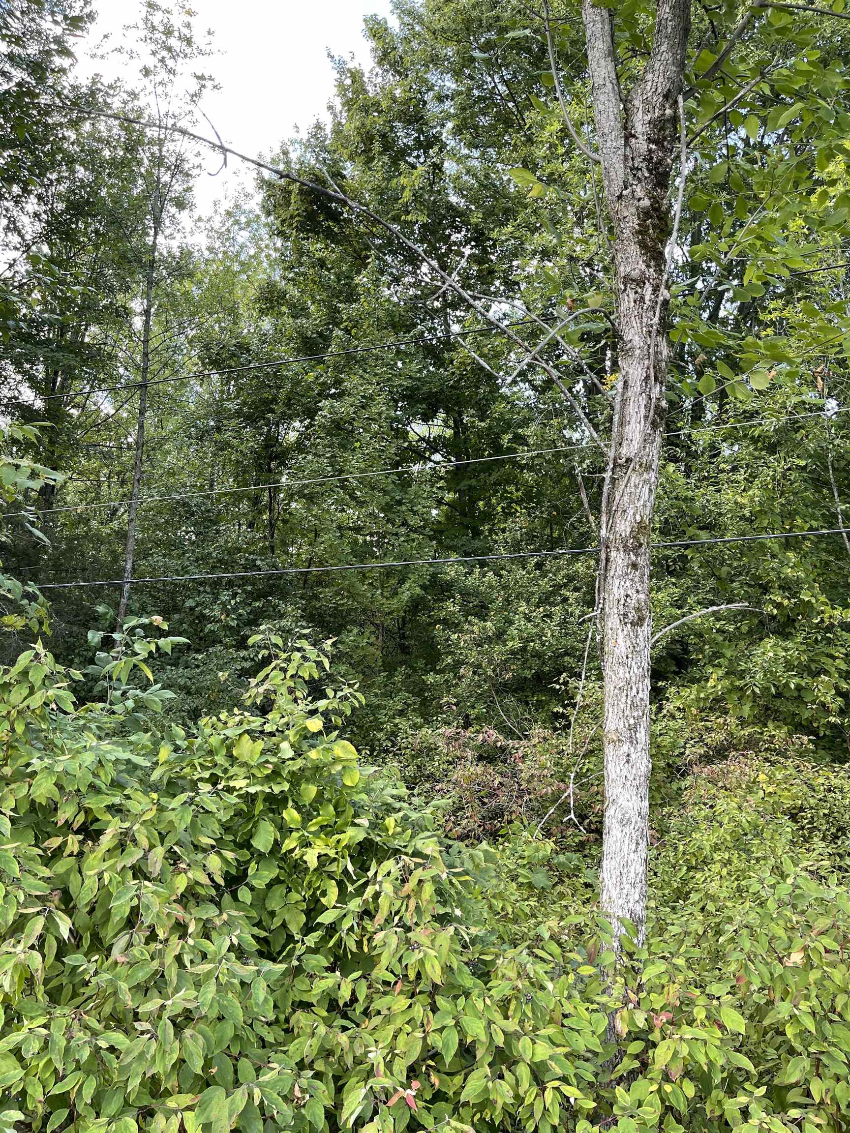 16 Hilltop Road Alburgh, VT 05440 - Photo 1 of 6 Gallery Image 1