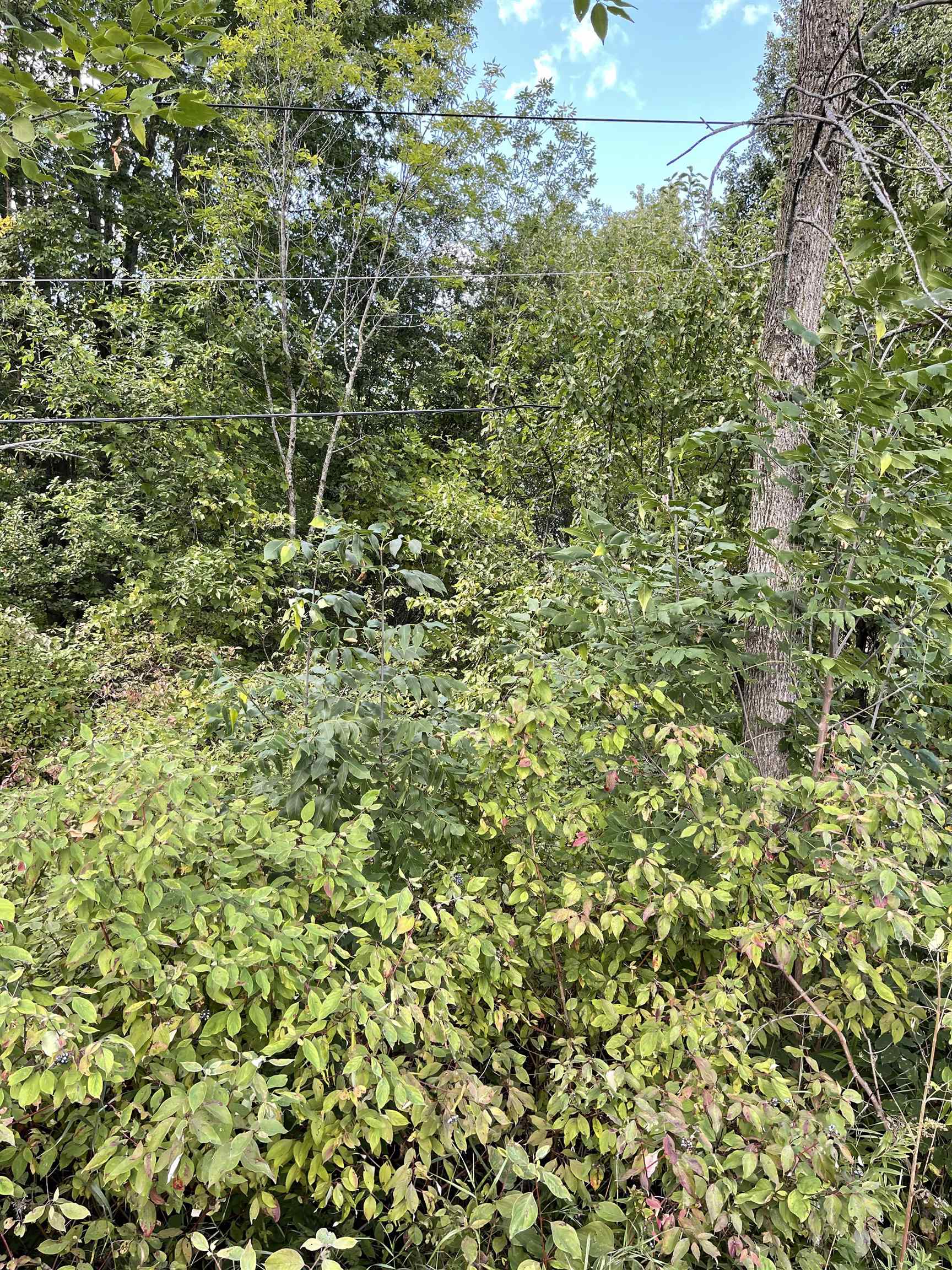 16 Hilltop Road Alburgh, VT 05440 - Photo 2 of 6 Gallery Image 2
