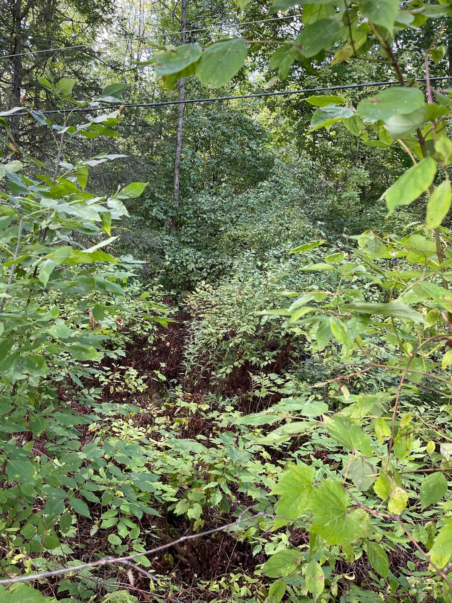16 Hilltop Road Alburgh, VT 05440 - Photo 3 of 6 Gallery Image 3