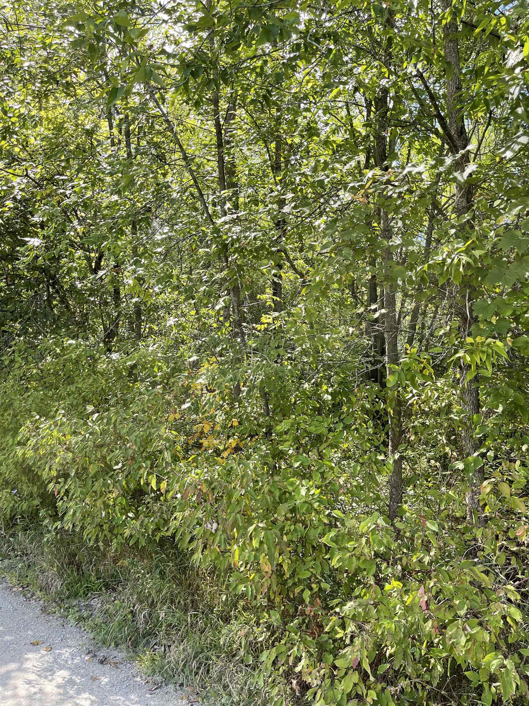 16 Hilltop Road Alburgh, VT 05440 - Photo 4 of 6 Gallery Image 4