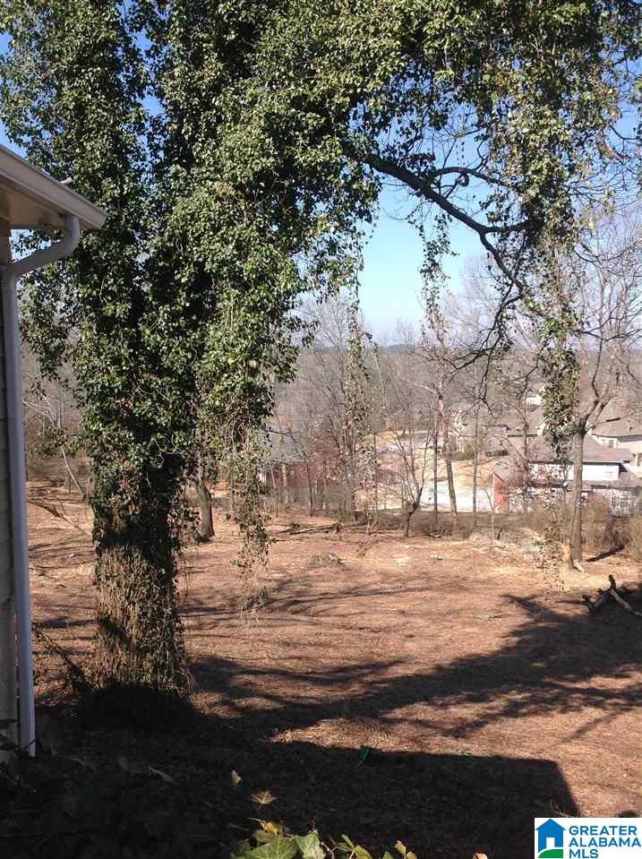 4520 South Shades Crest Road Helena, AL 35022 - Photo 27 of 27