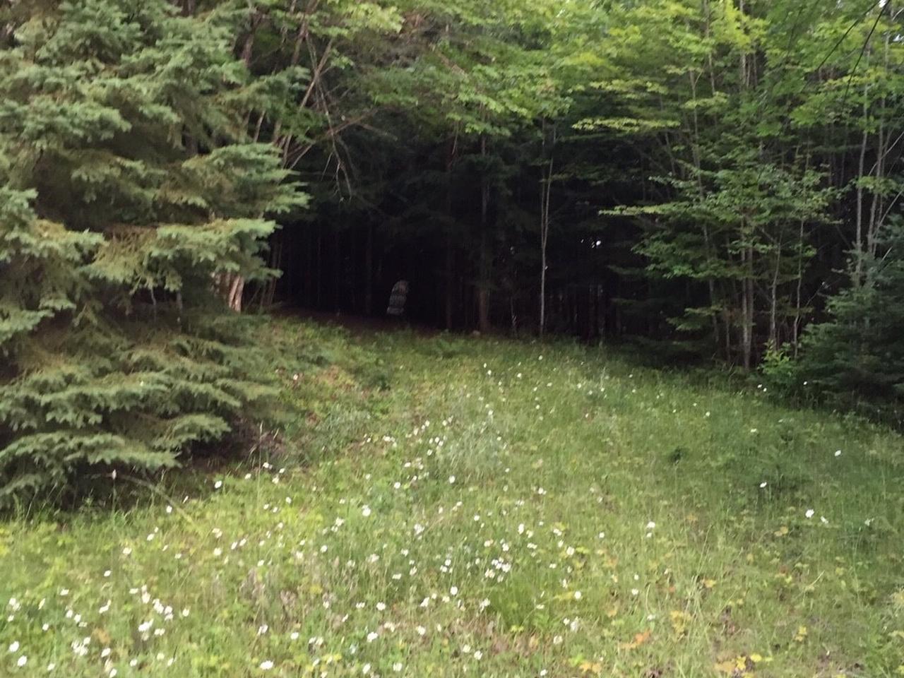On Beatons Lake Road Watersmeet, MI 49969 - Photo 5 of 6 Gallery Image 5