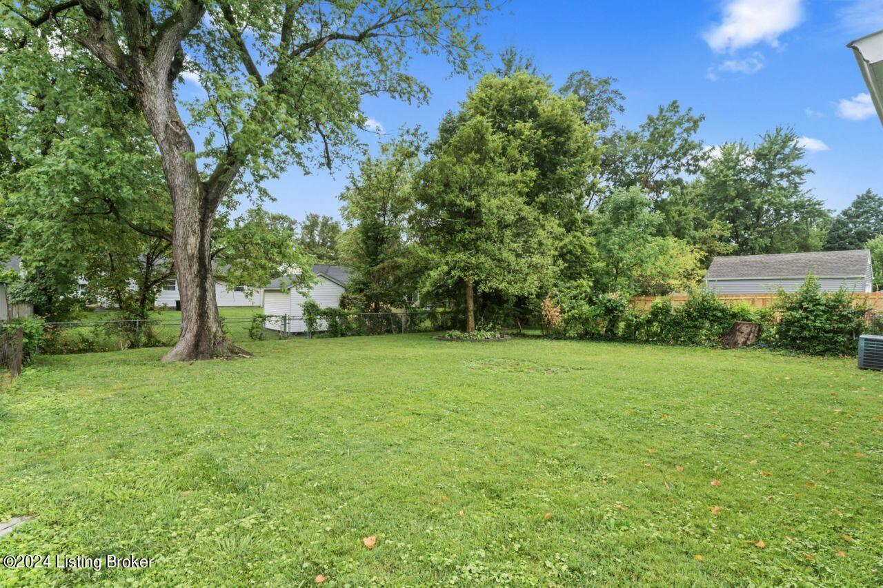 2710 Alanmede Road Louisville, KY 40205 - Photo 16 of 16 Back Yard