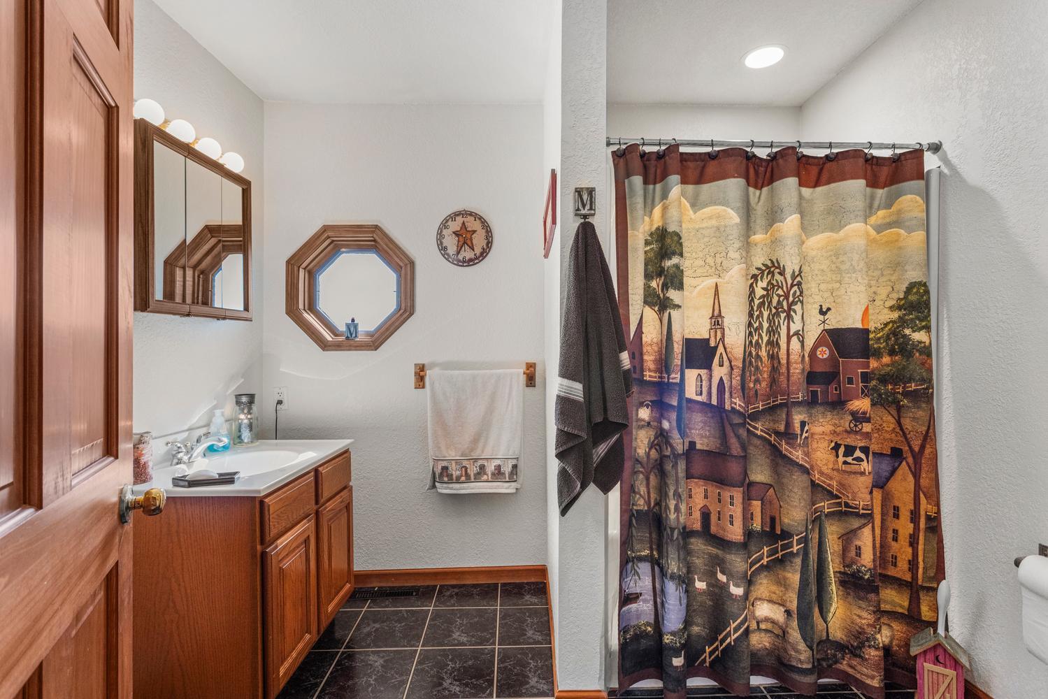 12317 North 1100 East Road Catlin, IL 61817 - Photo 21 of 44 a bathroom with a sink and a mirror